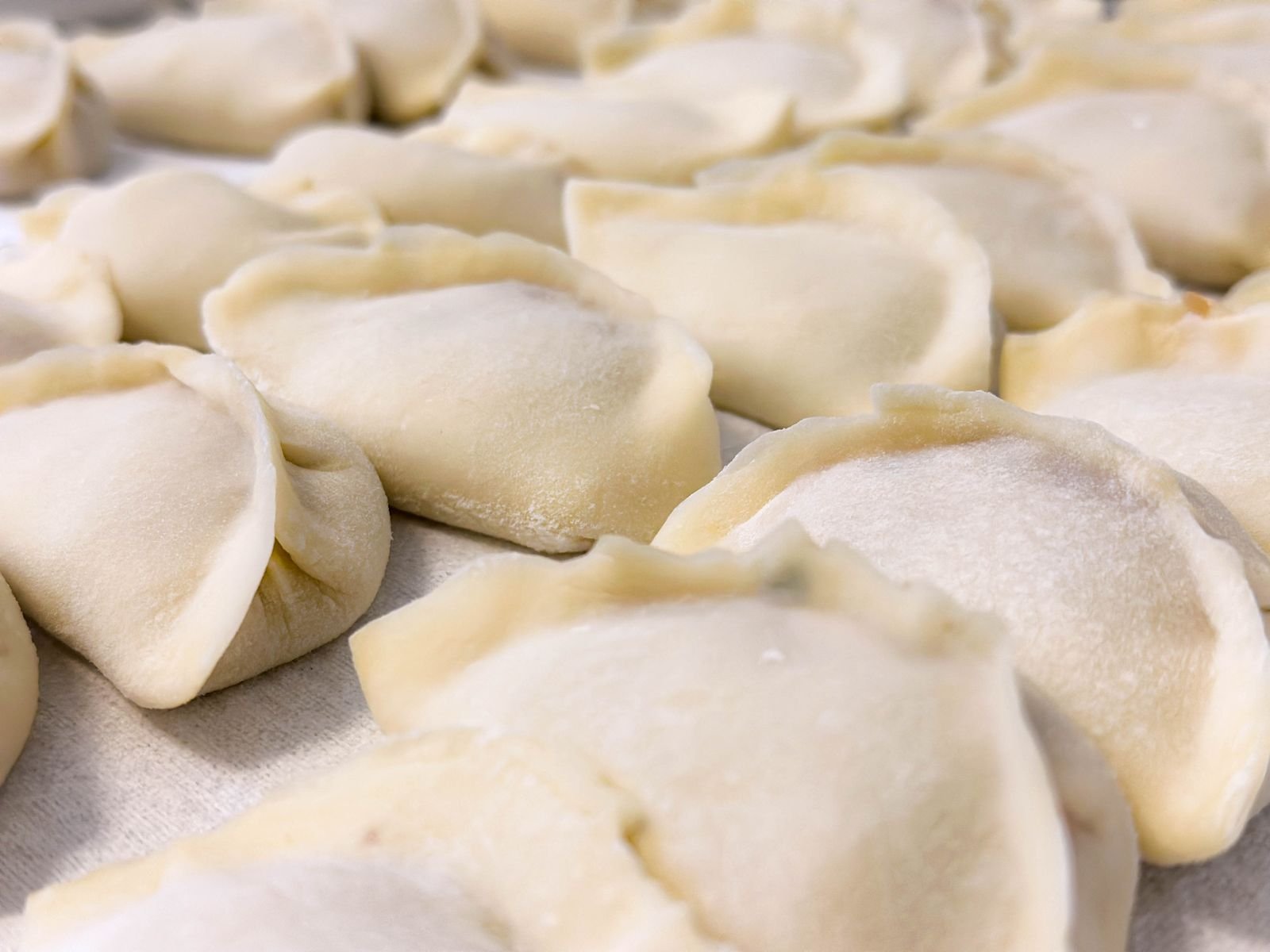 Close-up of uncooked dumplings prepared in quantity for freezing