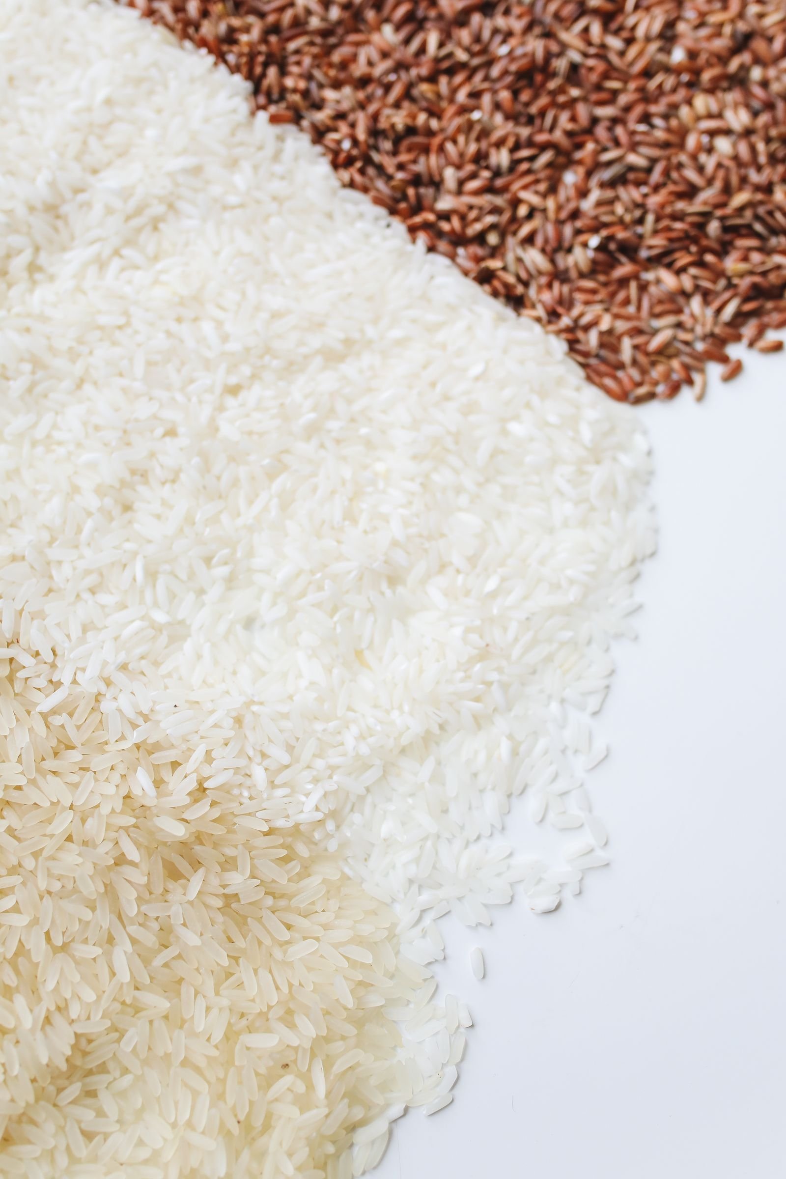 White, brown and red uncooked rice varieties for ambient storage