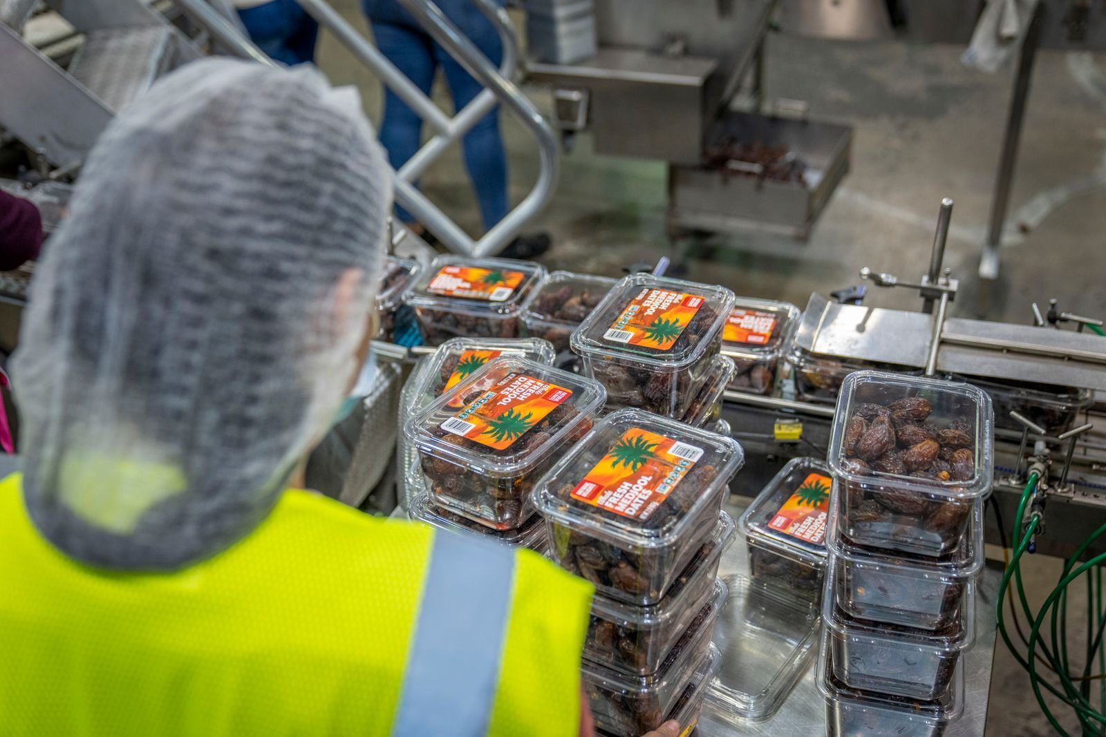 Food packaging line inspected by a worker