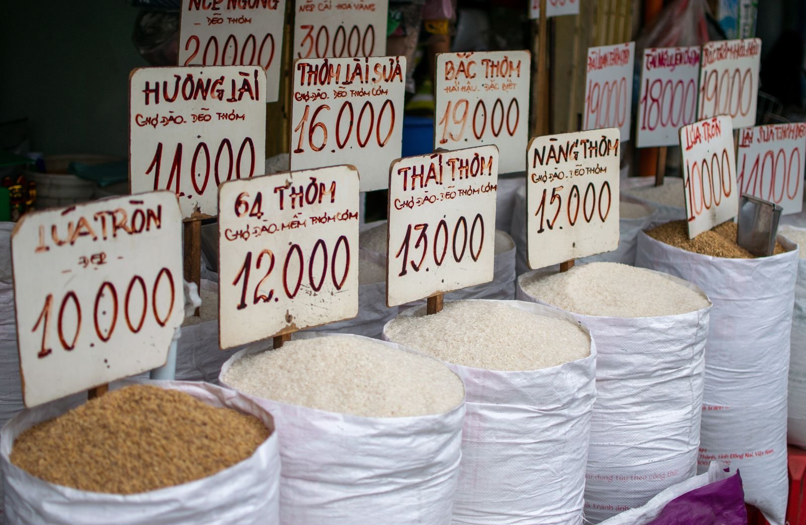 Open sacks of several rice varieties