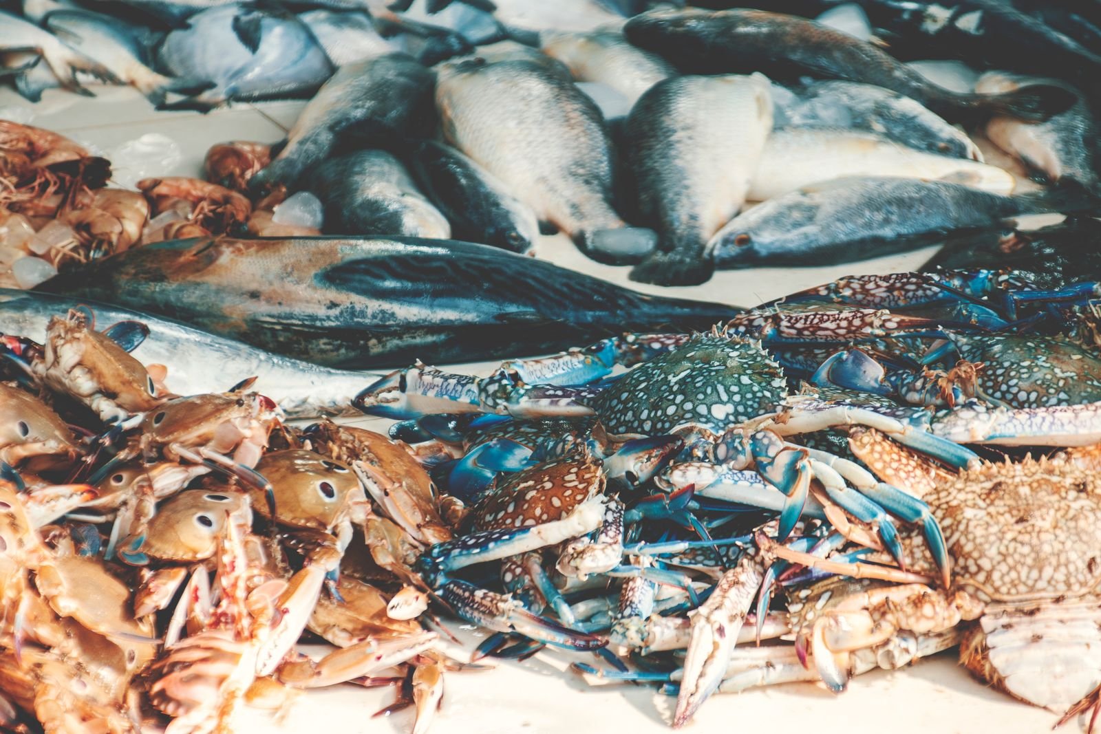 Commercial assortment of fish and shellfish